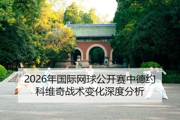 nian-guo-ji-wang-qiu-gong-kai-sai-zhong-de-yue-ke-wei-qi-zhan-shu-bian-hua-shen-du-fen-xi-2-662.jpg