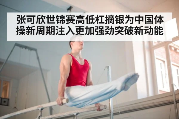 chinese gymnastics team